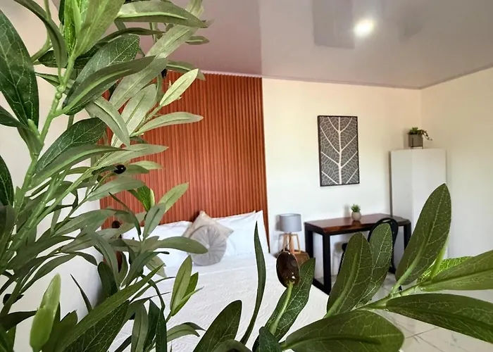 3, Cerca De La Playa, Naturaleza Y Paz Apartment