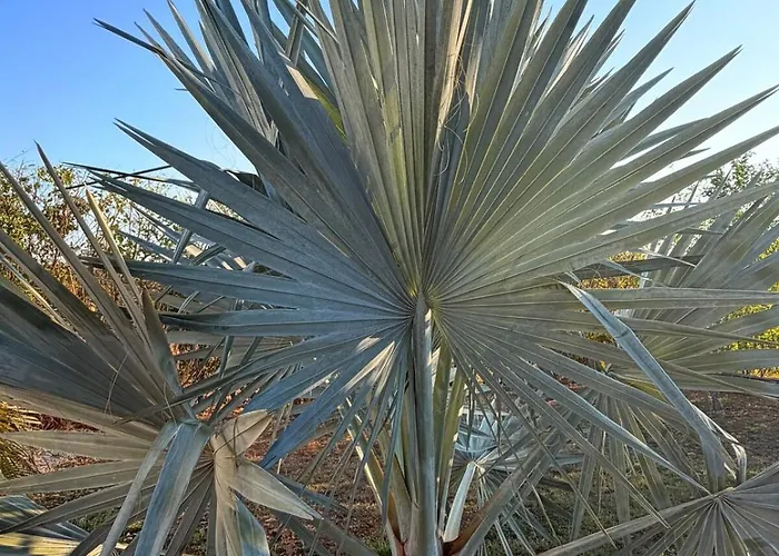 3, Cerca De La Playa, Naturaleza Y Paz Apartamento